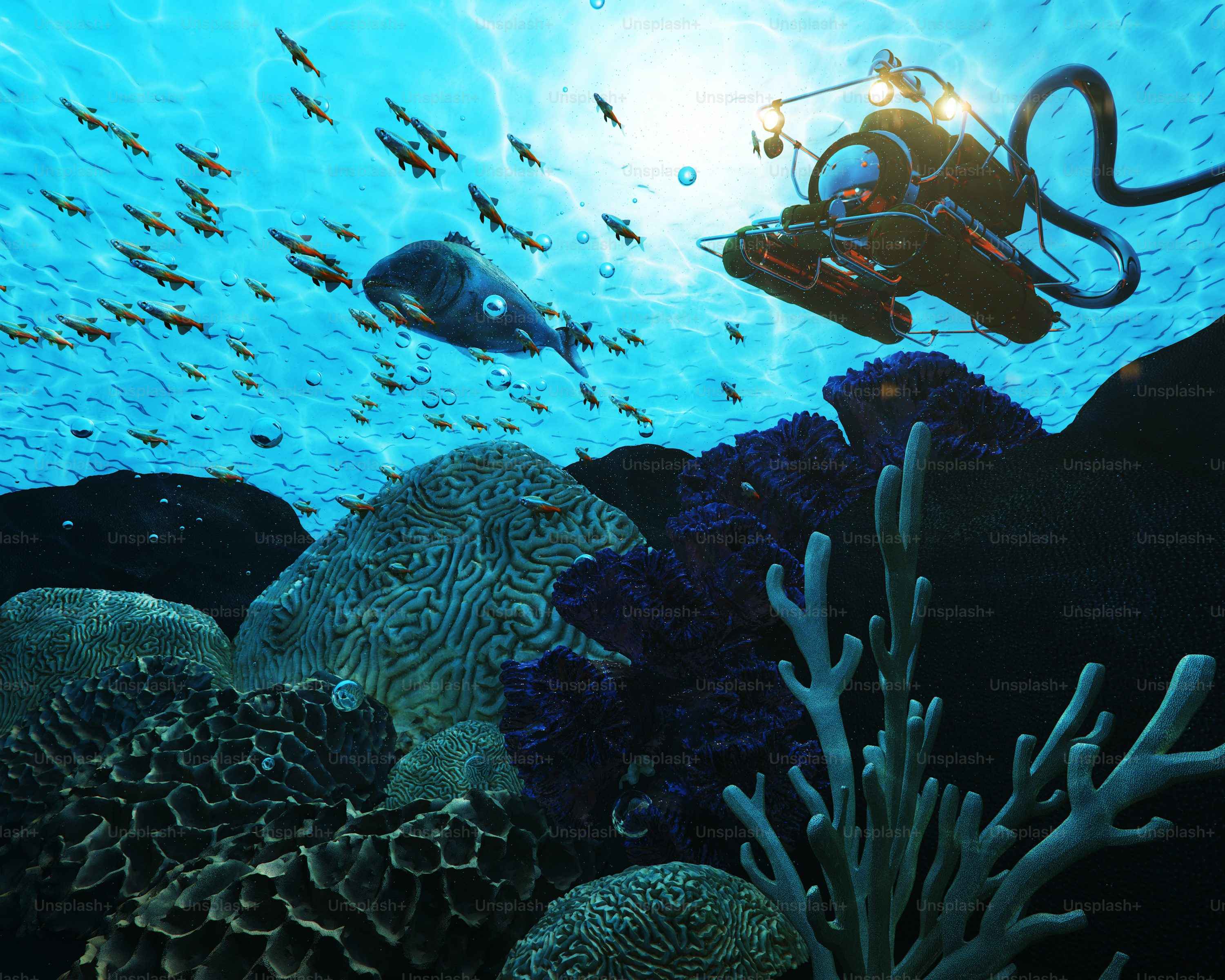 Coral Reef Explorer